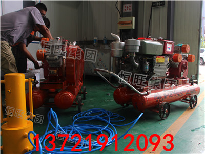 防汛打桩机厂家 防汛抗洪抢险植桩机 气动手持防汛打桩机