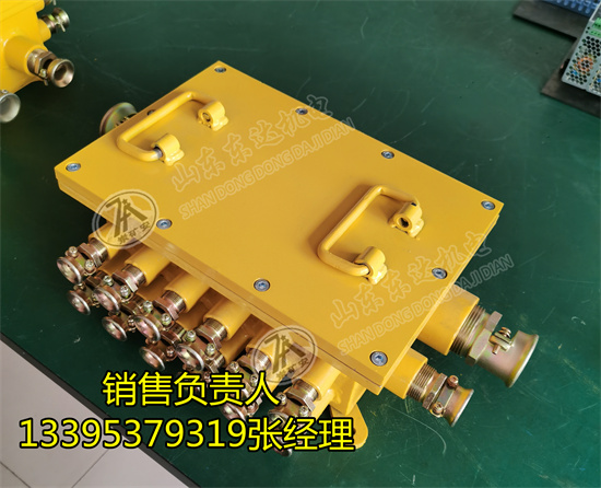 BHD-10/127-28G低压电缆接线盒28通隔爆接线盒