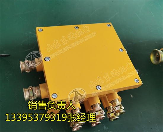 BHD-10/127-16G矿用低压电缆接线盒 16通接线盒