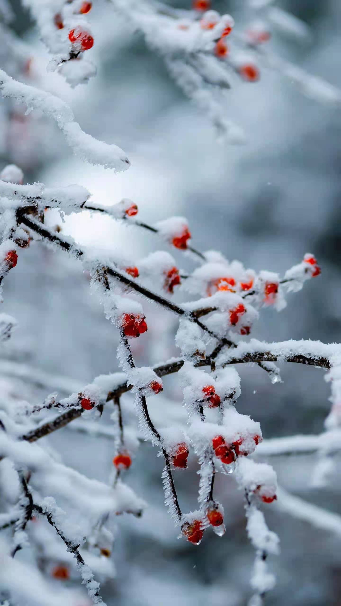 转让开封龙亭区房建三级施工劳务市政三级！铿锵玫瑰，恭喜女足。