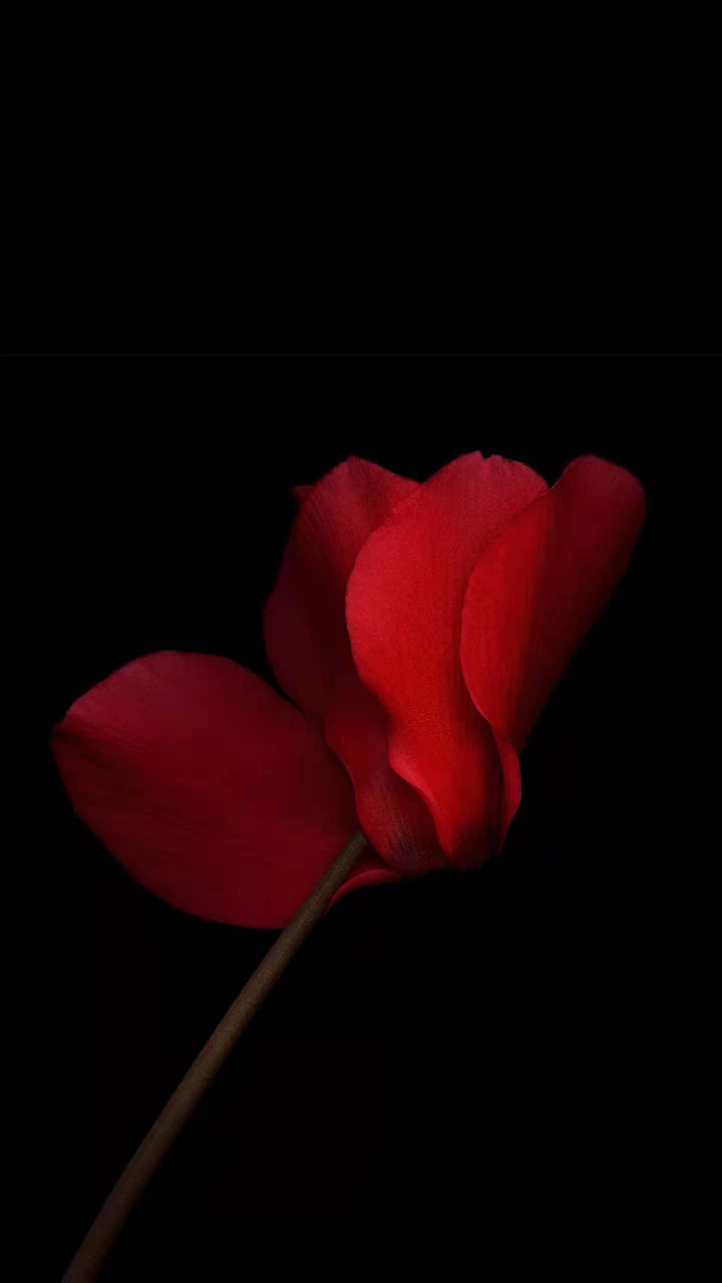 开封机电三级电力三级石化三级施工劳务转让信息，转让开封劳务