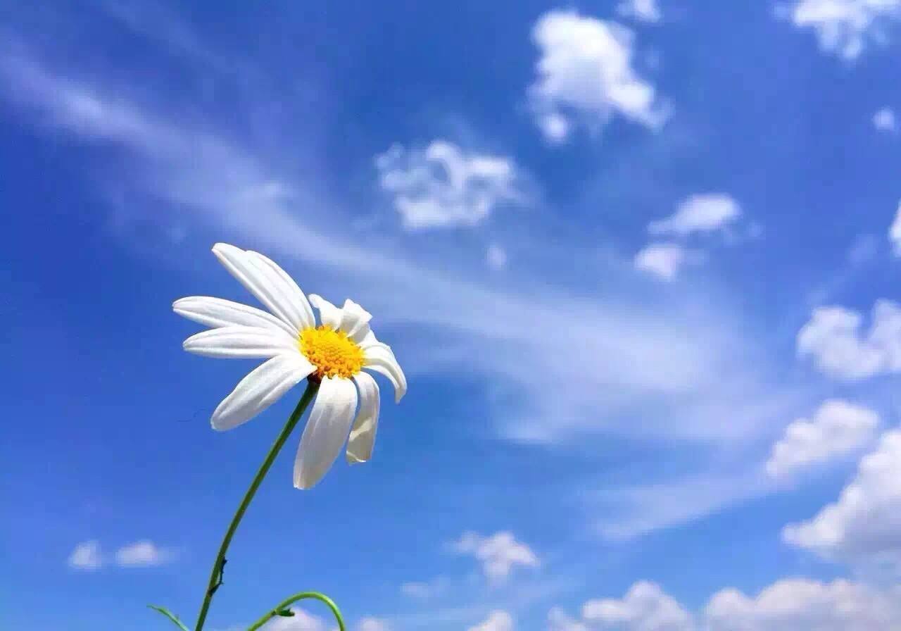 公司新资质整体转让河南现成房建三机电三消防二电子智能化二随时过户