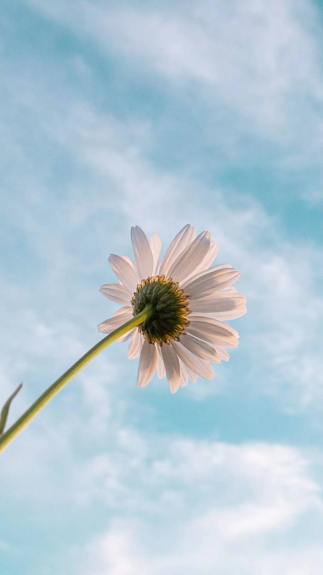 长垣的电力类电力乙级和机电乙级股权转让电力三工程总