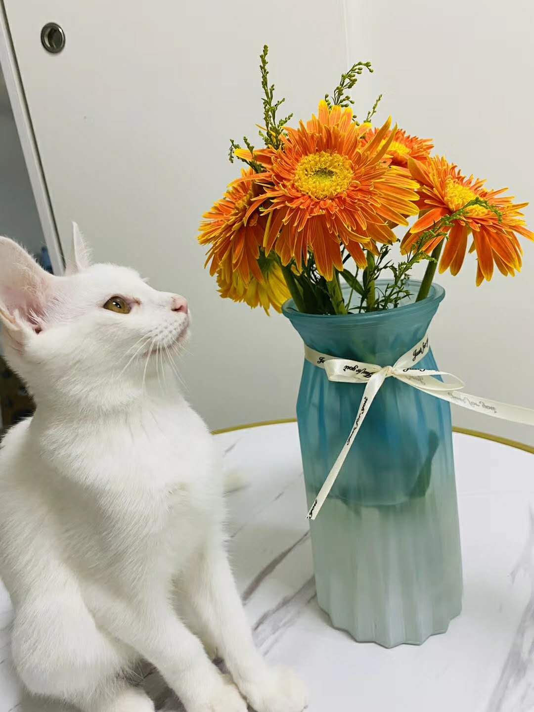 焦作自家资源低价出房建三市政三带安许劳务分包不分等级