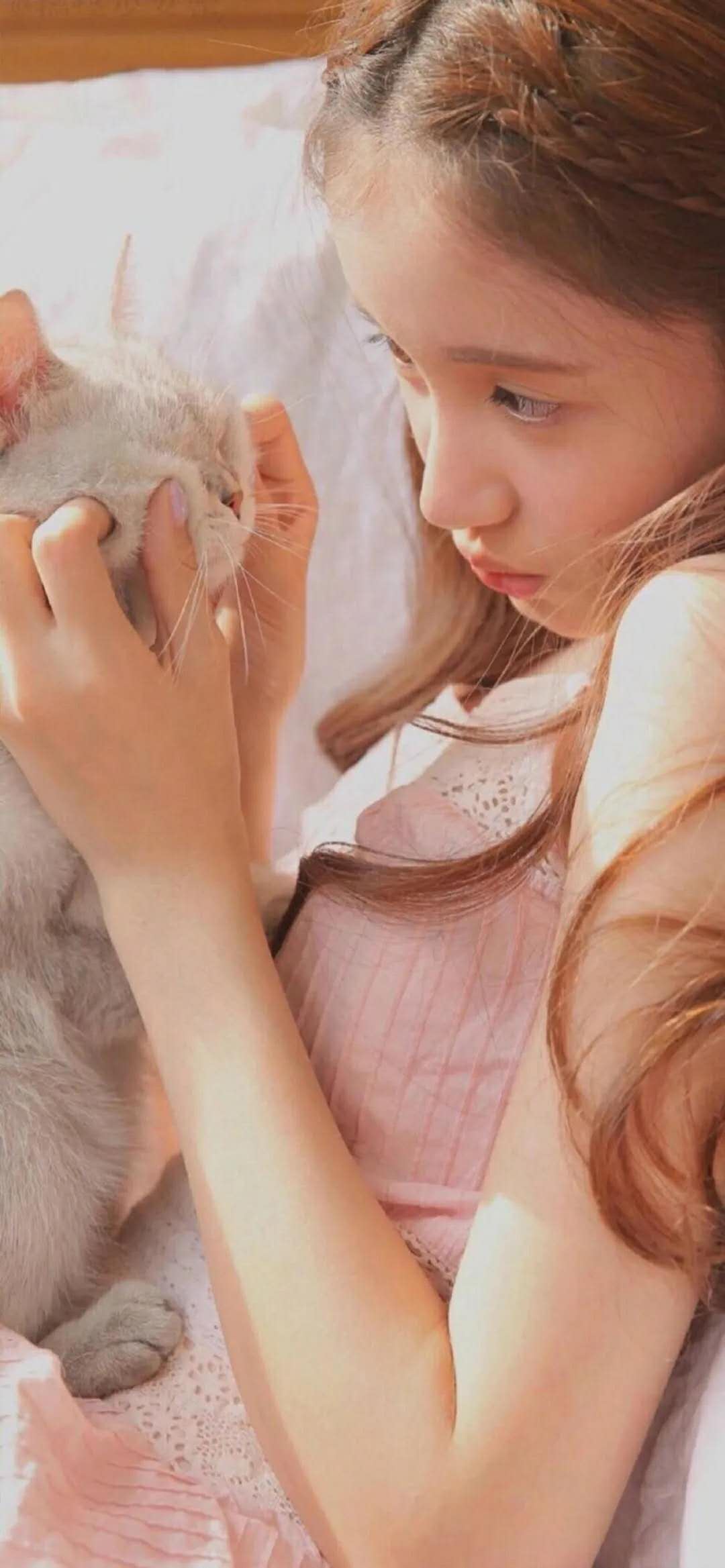 周口收购“市政三”集合照明三市政总包三级资质股权