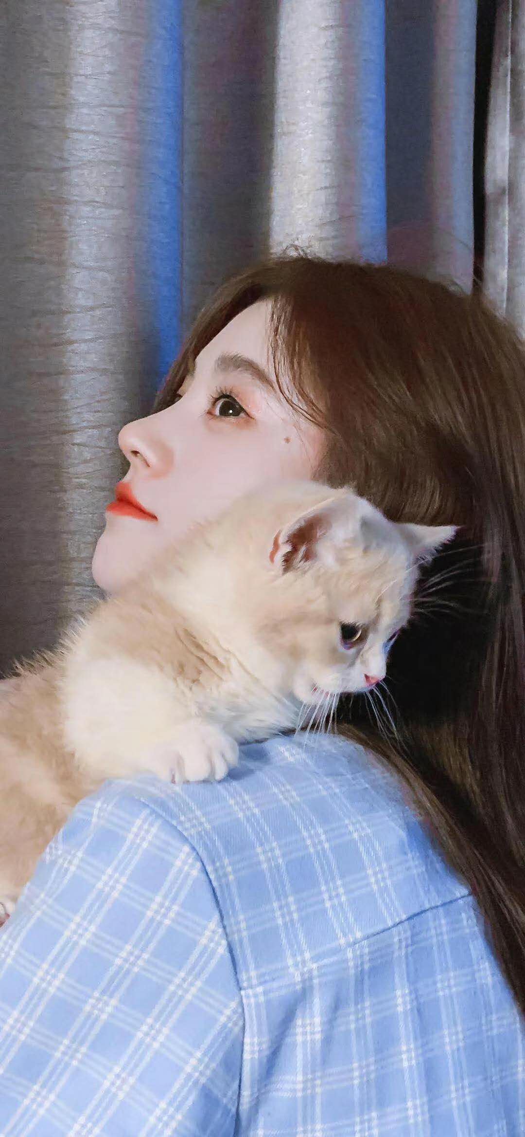 全新无经营郑州房建三机电三市政三施工劳务现成安许