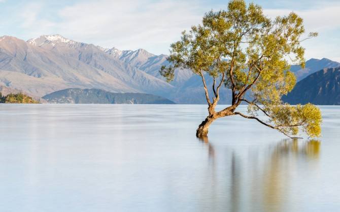 河南新乡劳务公司股权转让带安许变更