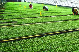 过户郑州机电三地基二幕墙二资质升级收购增项开封地基二股权转让