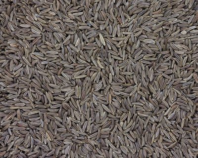 天津港进口孜然报关流程