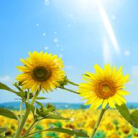 股权转让全新资质开封劳务资质现成的安许转让