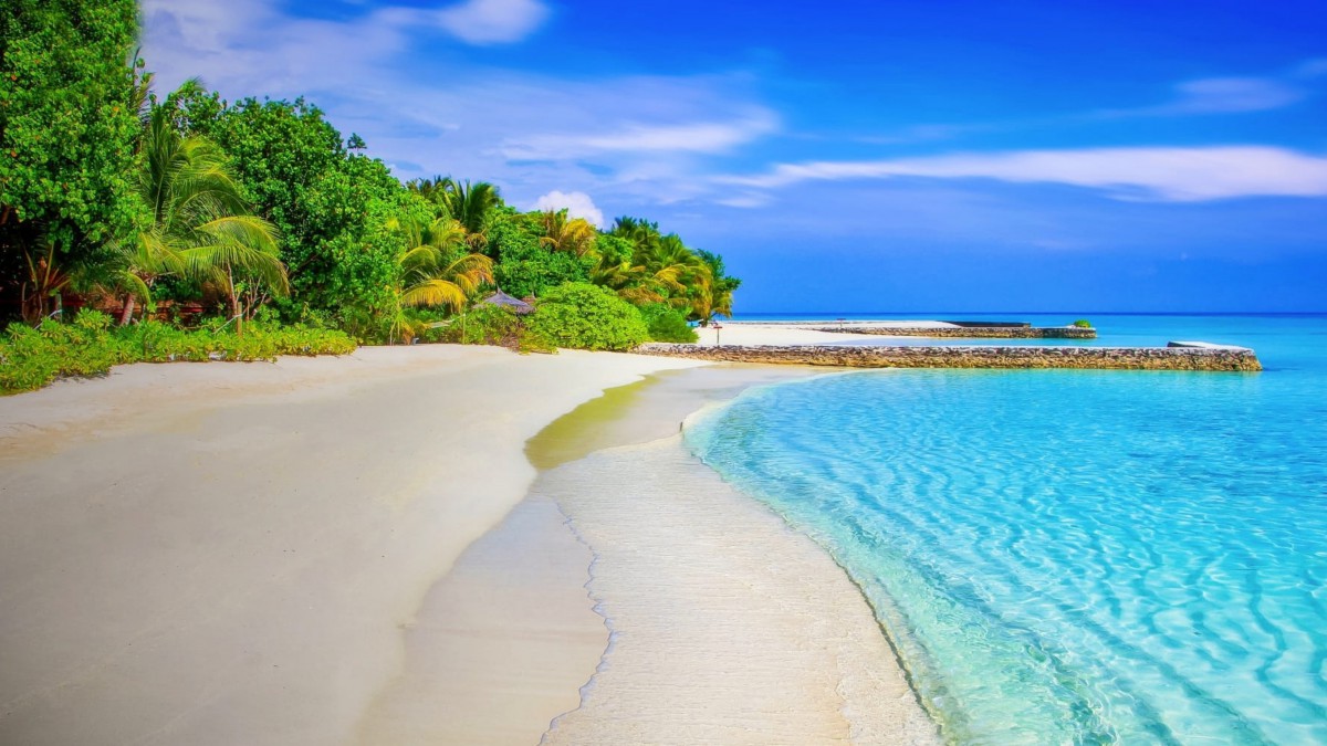 郑州房建三级市政三级资质转让河南建筑资质转让流程