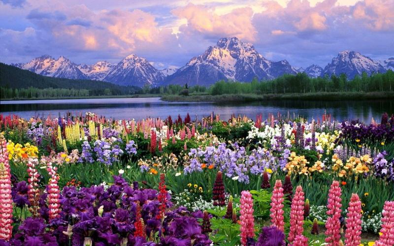 郑州房建资质转让+房建三级资质转让【年底甩卖】