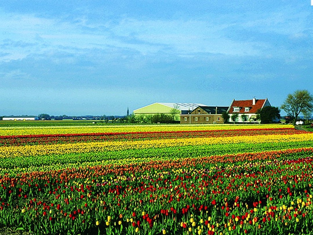 开封房建三级市政三级资质转让需要多少钱？