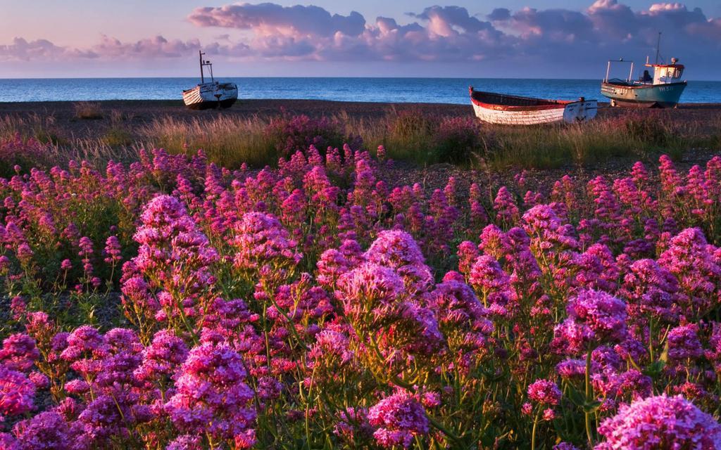 郑州控股公司注册转让成立控股公司的条件和要求是什么？需要哪个部门批准？