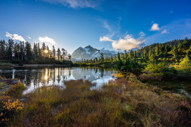 1641123148539256.jpg t010b572b3adfa6419e.jpg