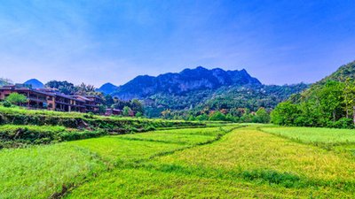 1641125800173859.jpg t01ee6ee2460561792f.jpg