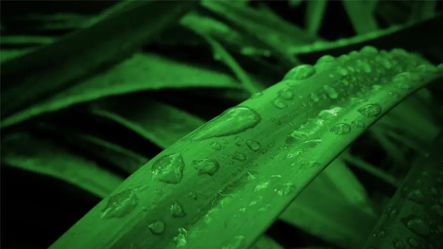 河南建筑行业合同签订与开票信息不一致会有哪些涉税风险