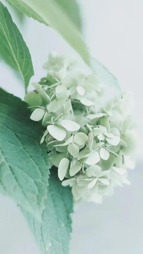 河南城市照明一级资质转让，地市照明一级资质分立出函转让