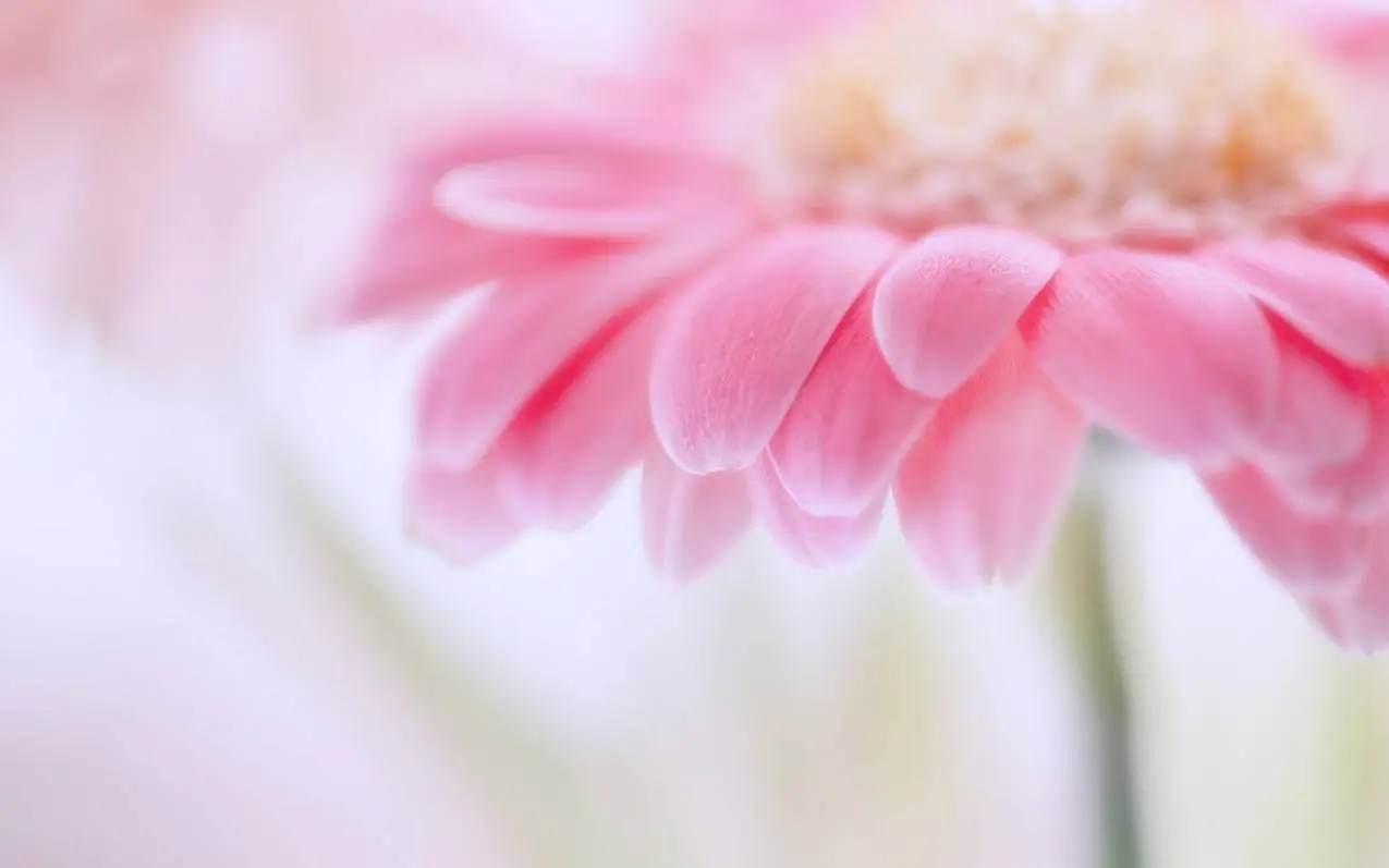 河南省内“市政二级”“房建二级”总包资质转让分立转让