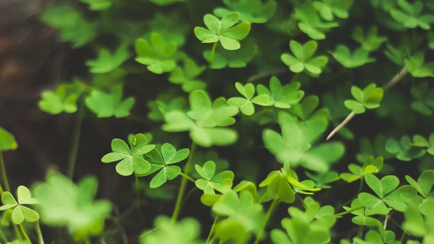 郑州/开封/商丘”地基一级“资质分立”地基二级“资质转让