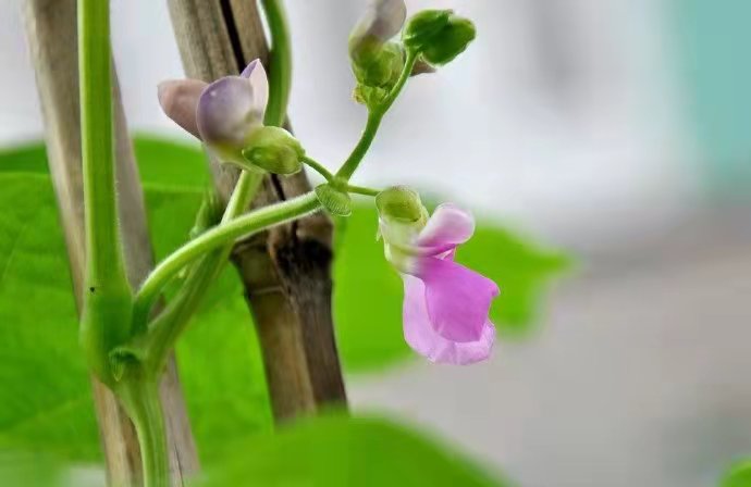 郑州消防设施专包二级资质转让开封消防资质二级整体转让安许等公告