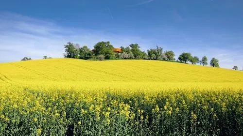 开封/南阳/郑州水利水电总包二级资质平移转让可做吸收合并