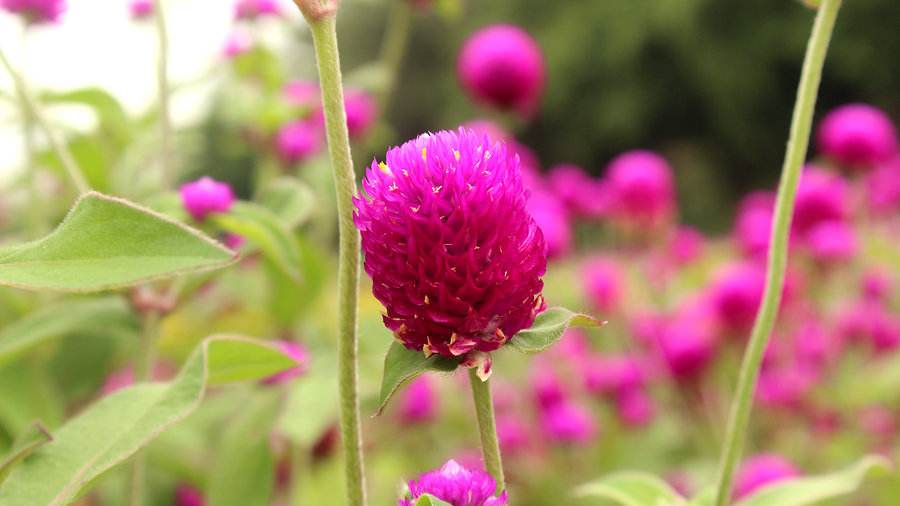 安阳市市政装修一级资质转让 安阳市地基装修二级资质转让