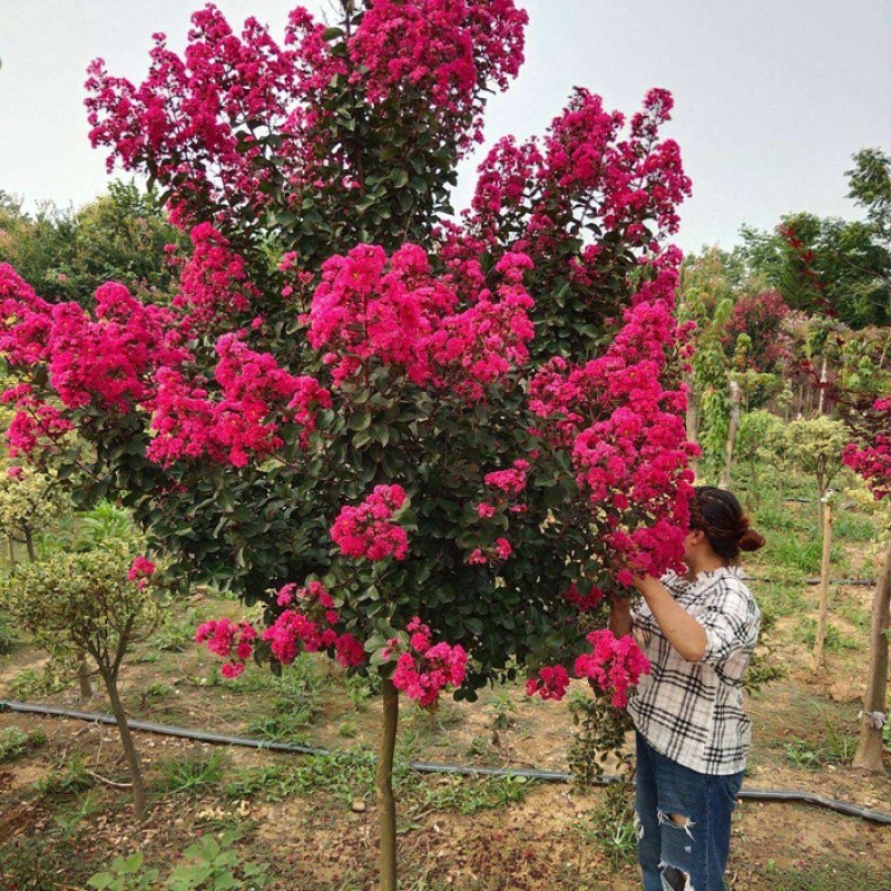 河南郑州水利水电三级资质转让（全国通用）