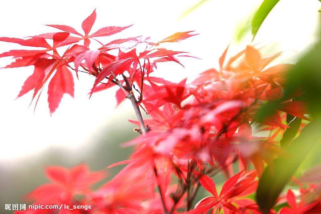 1641899765407739.jpg src=http___image.shumiao.net_uploads_20190321_17_1553160782-NwaFsPxHvR.jpg&refer=http___image.shumiao.jpg