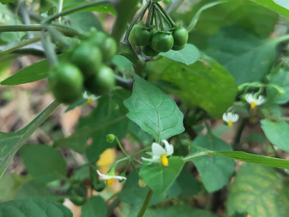 河南装饰装修一级资质转让星标2022全新报价