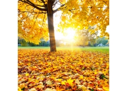 河南房建二级资质（现货转让）郑州房建贰级资质（项目必备）