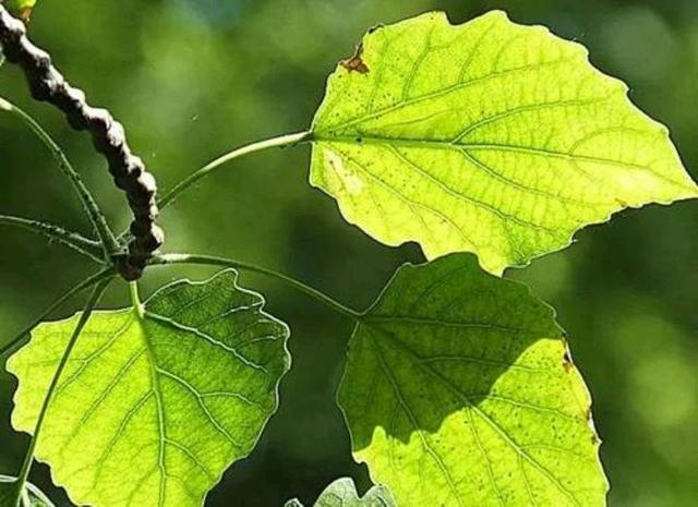 郑州地基三级资质转让房建二级资质及市政一级资质转让