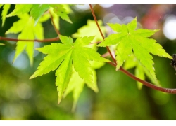 开封市政三级资质收购转让开封市政三级资质转让