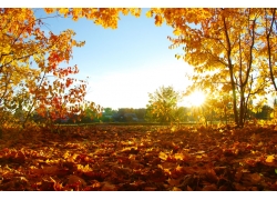 豫税河南税务服务有限公司