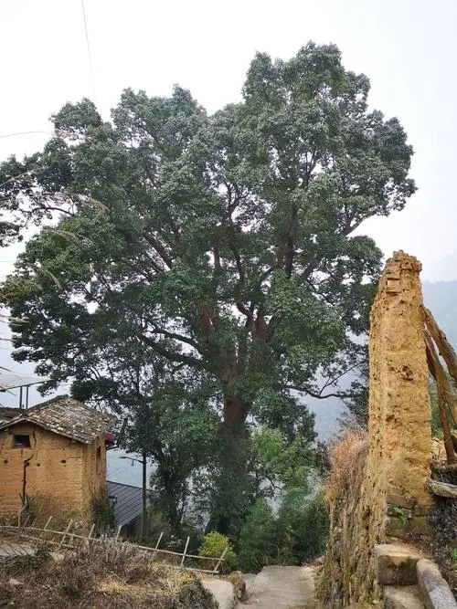 郑州装修二级防水二级资质转让
