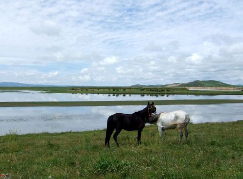 新消息河南郑州寄卖行注册办理公司值得托付2022