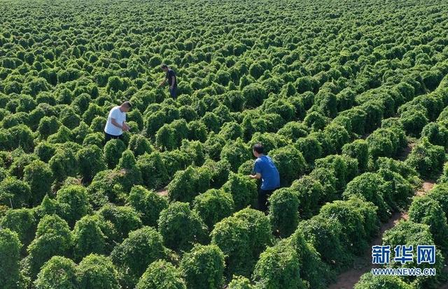 郑州输变电三级资质转让电力三级资质转让（现货变更）