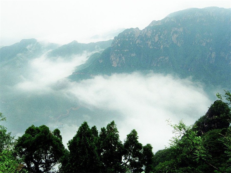 新乡电力三级资质转让-承装修饰四级资质转让-电力公司转让