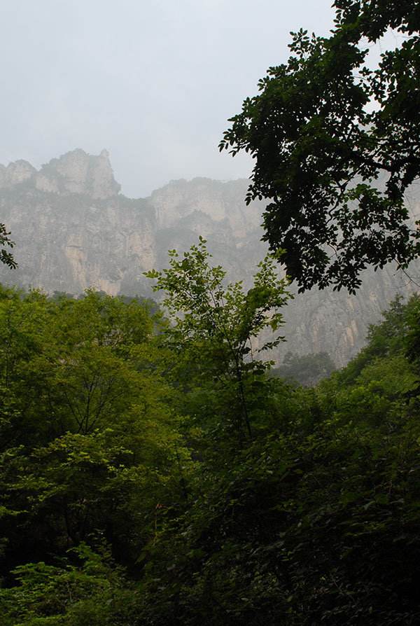 河南建筑工程资质转让-河南建筑施工资质转让