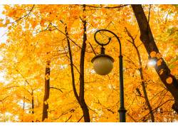 郑州装修装饰公司转让郑州装修二级资质公司就没有经营过！转让