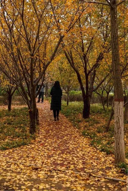 商丘装修二级公司转让睢阳区装饰装修二级建筑施工资质转让