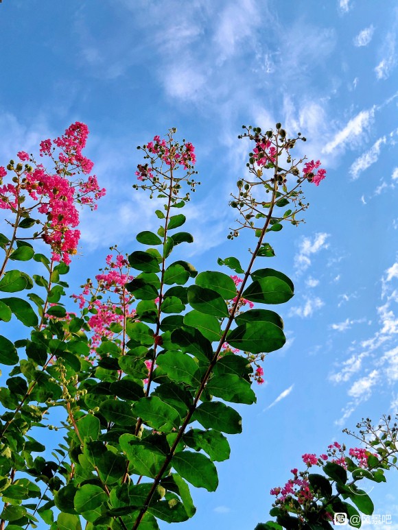 鹤壁地基工程承接公司转让消防二级资质转让-甲级乙级