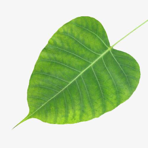 开封输变电施工公司出售（电力输变电资质）转让