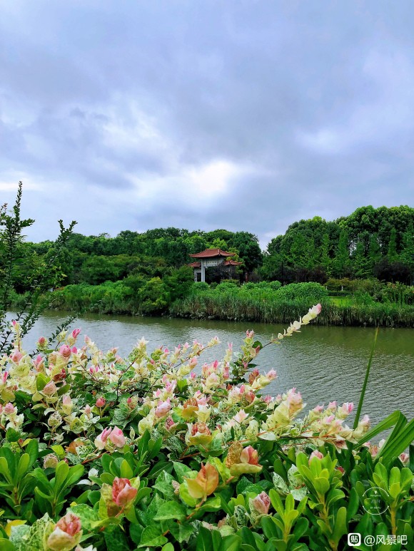 郑州市两账合一的思路与技巧（企业、账目、合理）