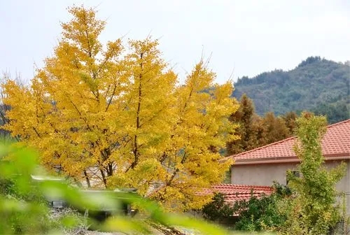 河南装修一转让郑州装修装饰壹级资质带公司转让整体过户