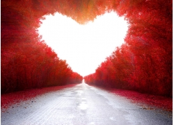 1644133865502651.jpg 318751-1610110KU937-lp.jpg