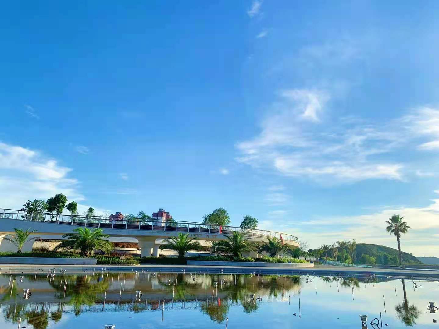 1642575205230947.jpg 100bca107c7baf722bf5102baeababf.jpg