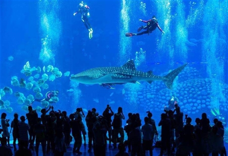 2022潜水装备展览会