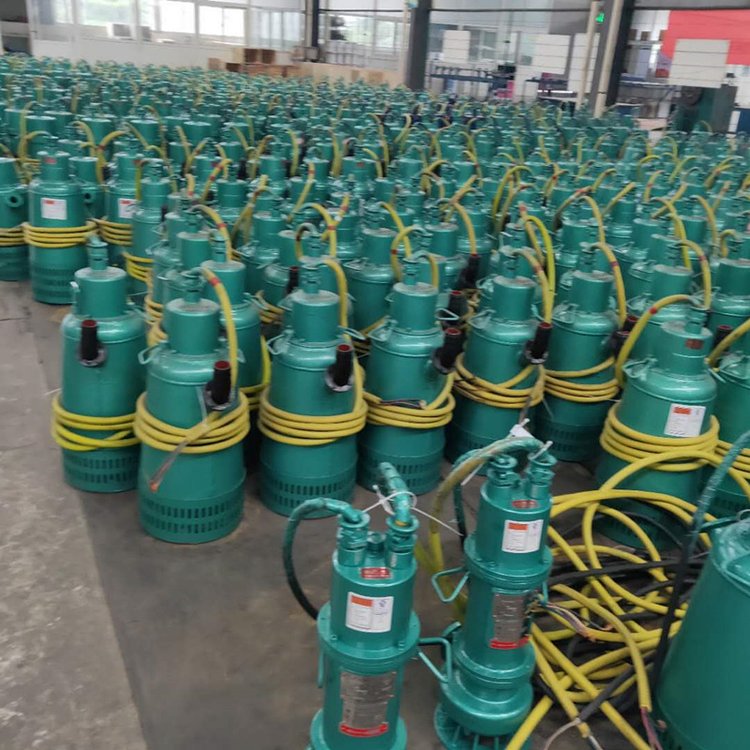 BQS50-150/2-45/N矿用隔爆型潜水排沙电泵