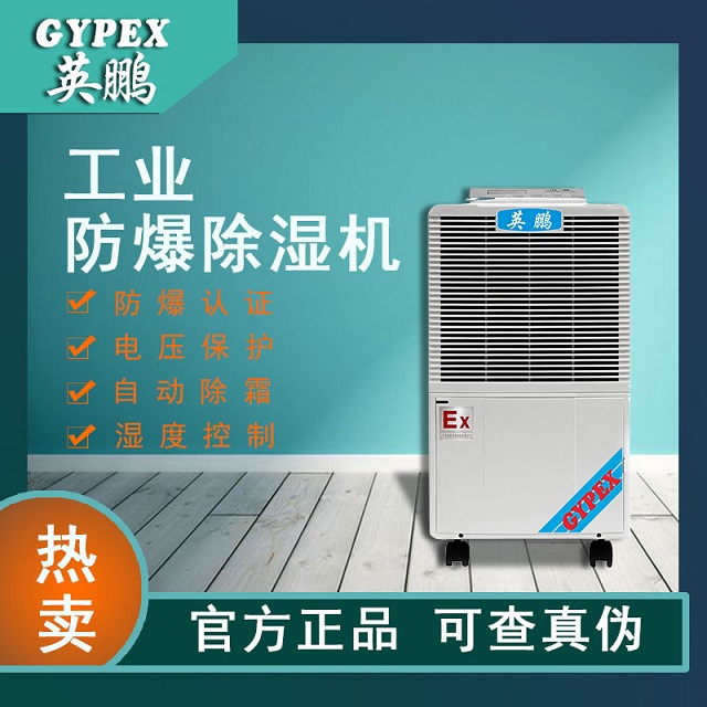 丽江工业除湿机可移动BCF-750C化工、制药、地下车库专用抽湿器英鹏(GYPEX)